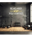 REMEMBER WHY YOU STARTED